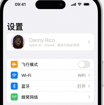 织金appleID维修服务iPhone设置中Apple ID显示为灰色无法使用 