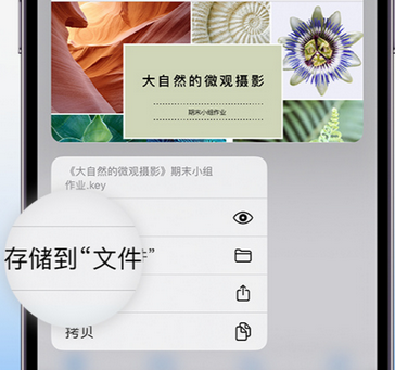 织金apple维修中心分享iPhone文件应用中存储和找到下载文件