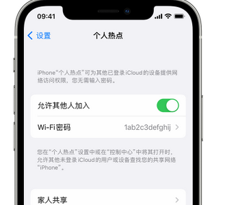 织金apple服务站点分享iPhone上个人热点丢失了怎么办 