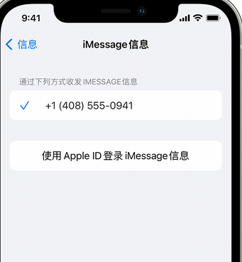 织金apple维修iPhone上无法正常发送iMessage信息 