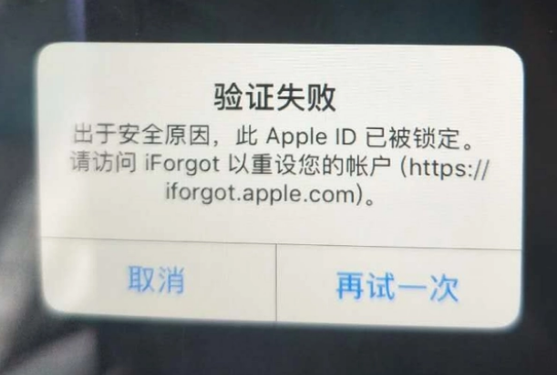 织金iPhone维修分享iPhone上正常登录或使用AppleID怎么办 