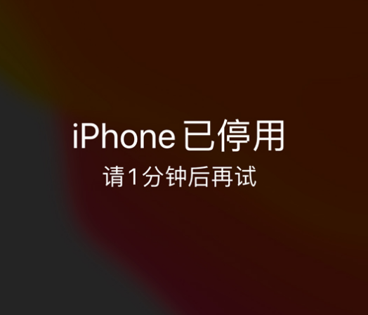 织金苹果手机维修分享:iPhone 显示“不可用”或“已停用”怎么办？还能保留数据吗？ 