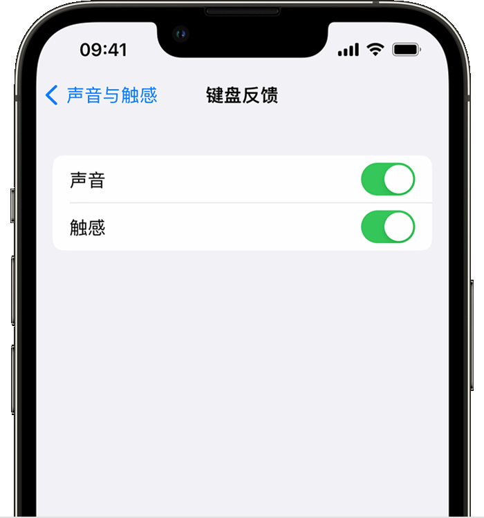 织金苹果14维修店分享如何在 iPhone 14 机型中使用触感键盘 