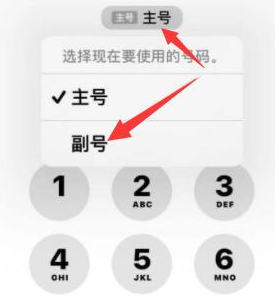 织金苹果14维修店分享iPhone 14 Pro Max使用副卡打电话的方法 