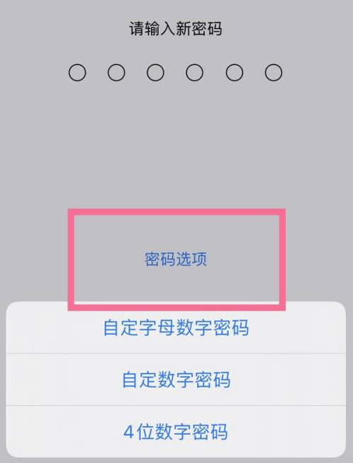 织金苹果14维修分享iPhone 14plus设置密码的方法 