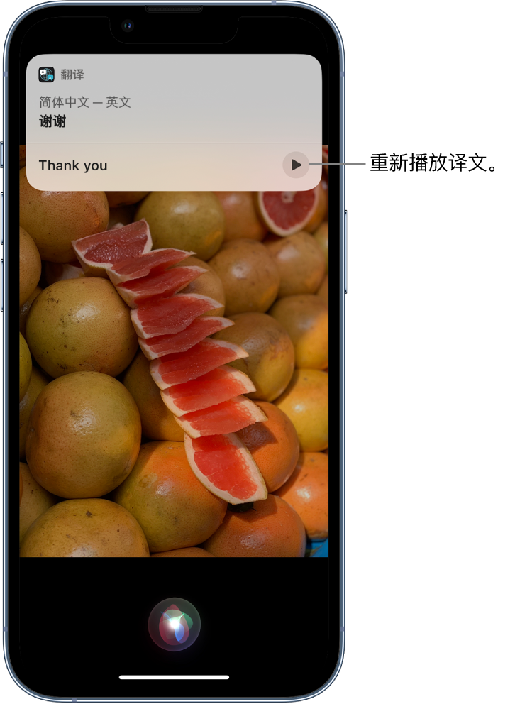 织金苹果14维修分享 iPhone 14 机型中使用 Siri：了解 Siri 能帮你做什么 