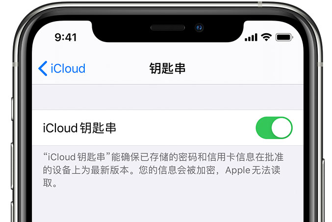 织金苹果手机维修分享在 iPhone 上开启 iCloud 钥匙串之后会储存哪些信息 