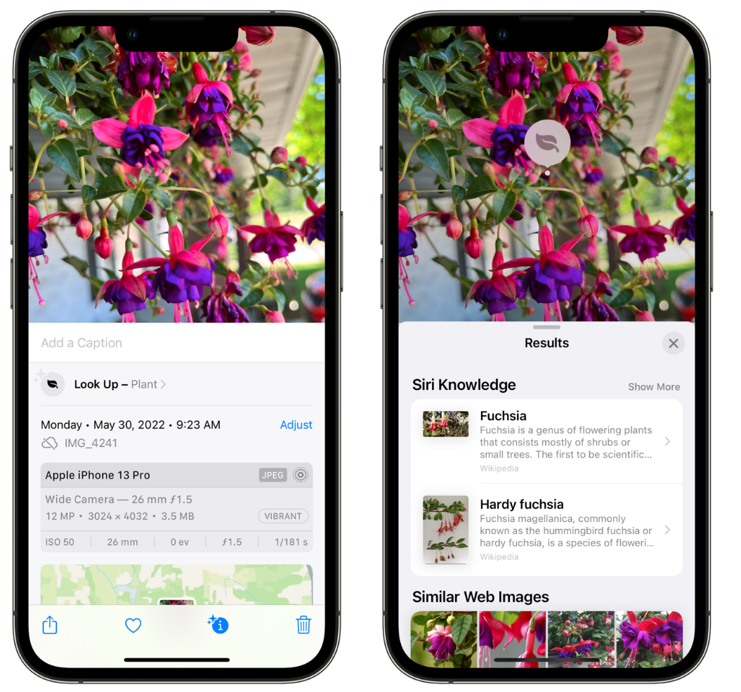 织金苹果手机维修分享小技巧：使用 iPhone 相机识别花卉植物 