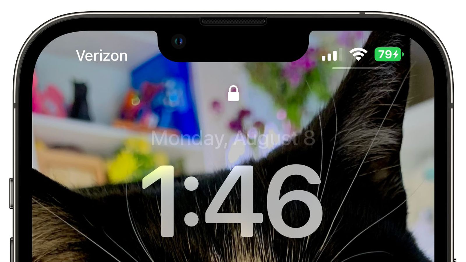 织金苹果手机维修分享iOS 16 beta 5 支持状态栏显示电池百分比，如何开启？支持哪些机型 