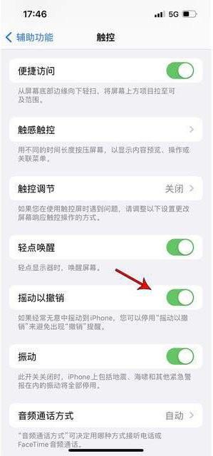 织金苹果手机维修分享iPhone手机如何设置摇一摇删除文字 