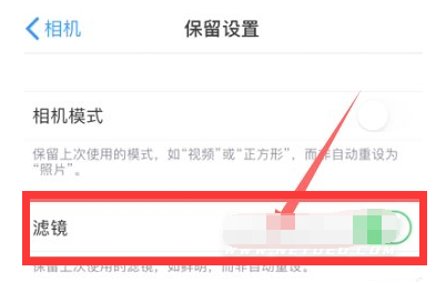 织金苹果13维修分享iPhone13拍照有绿点是怎么回事 
