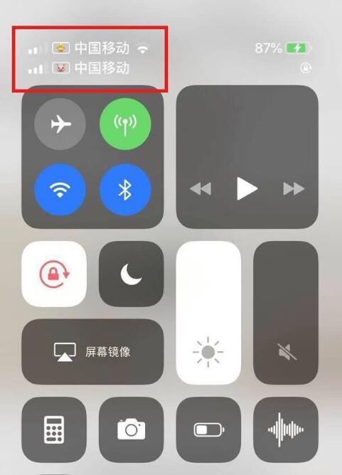 织金苹果手机维修分享为 iPhone 12 双卡设置标签 