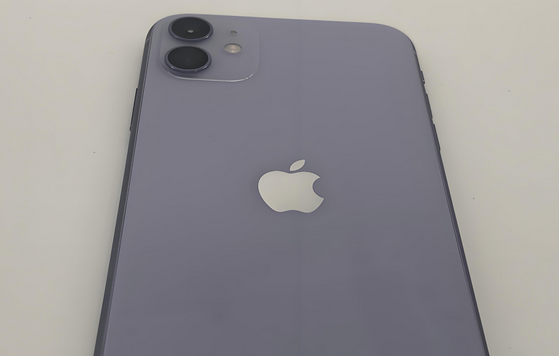 织金苹果11系统维修分享iPhone11手机系统崩溃无法开机如何解决 